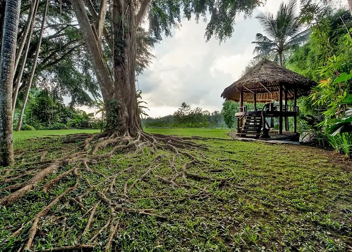 Kamaniiya River Sayan - Villa Ubud (Bali)